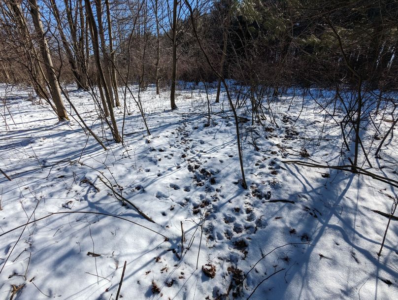 PXL_20230202_164244382