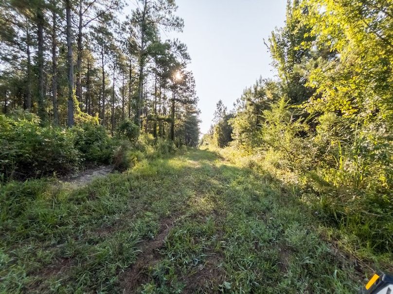 Ashley Co-40-Givens-64