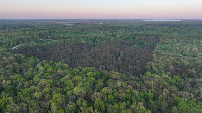 Tallahatchie 44 Newman (Crowden) Wide-50