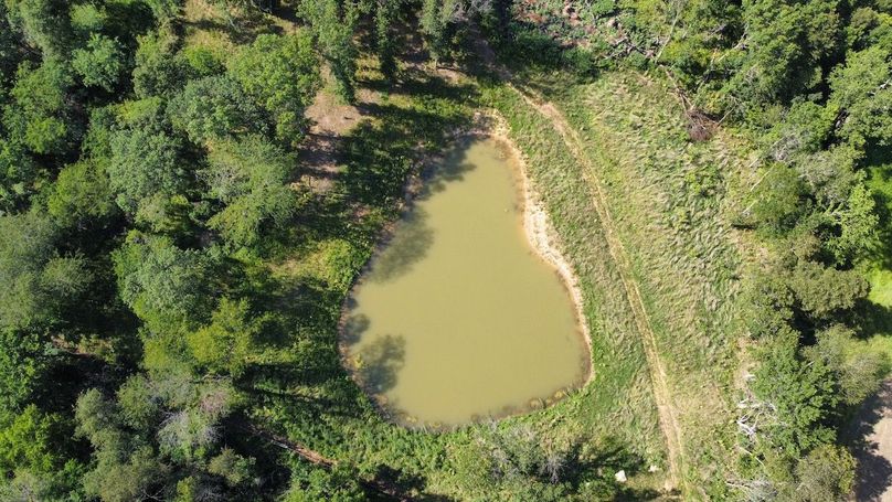 dji_fly_20240801_161008_970_1722546618093_photo_optimized