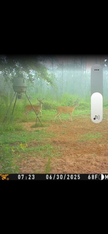 Deer Hutch 2