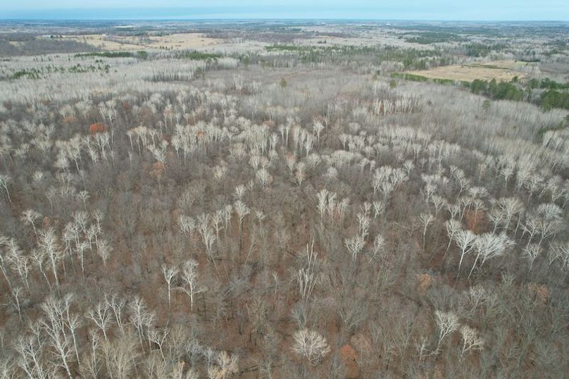 dji_fly_20251104_160718_2_1762294538658_photo