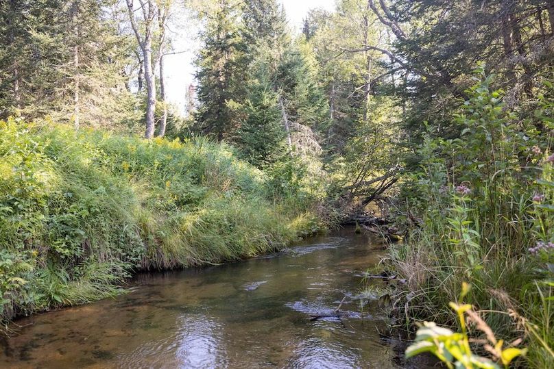 Mackinac 320 Copenhaver-69