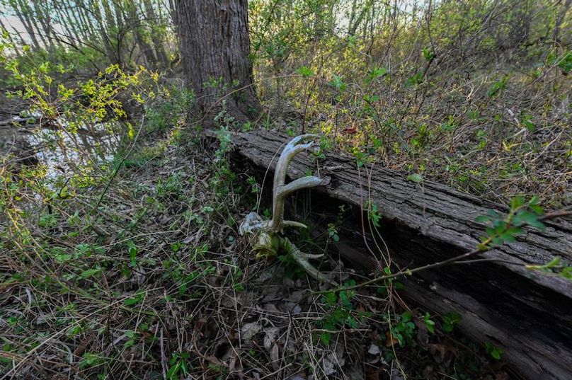 vandalia 450 (2)-2304