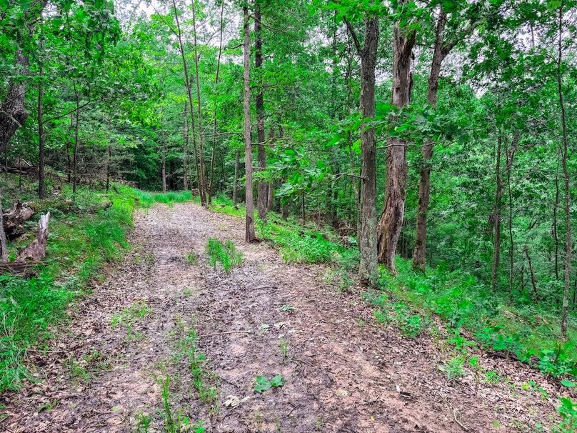 Wirt, WV 137.45 AC Full-18