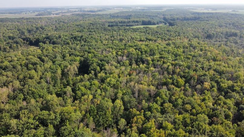 dji_fly_20240826_164204_382_1724709032825_photo_optimized