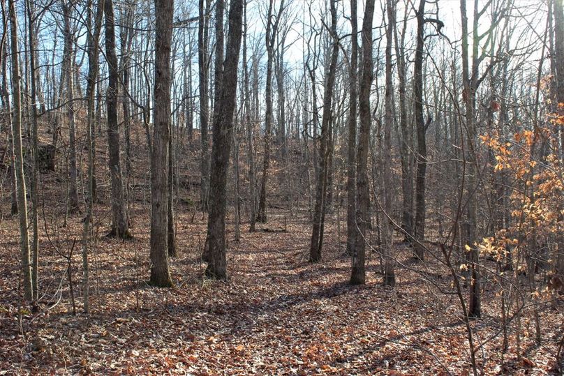 017 saddle in the ridges near the southwest portion of the property