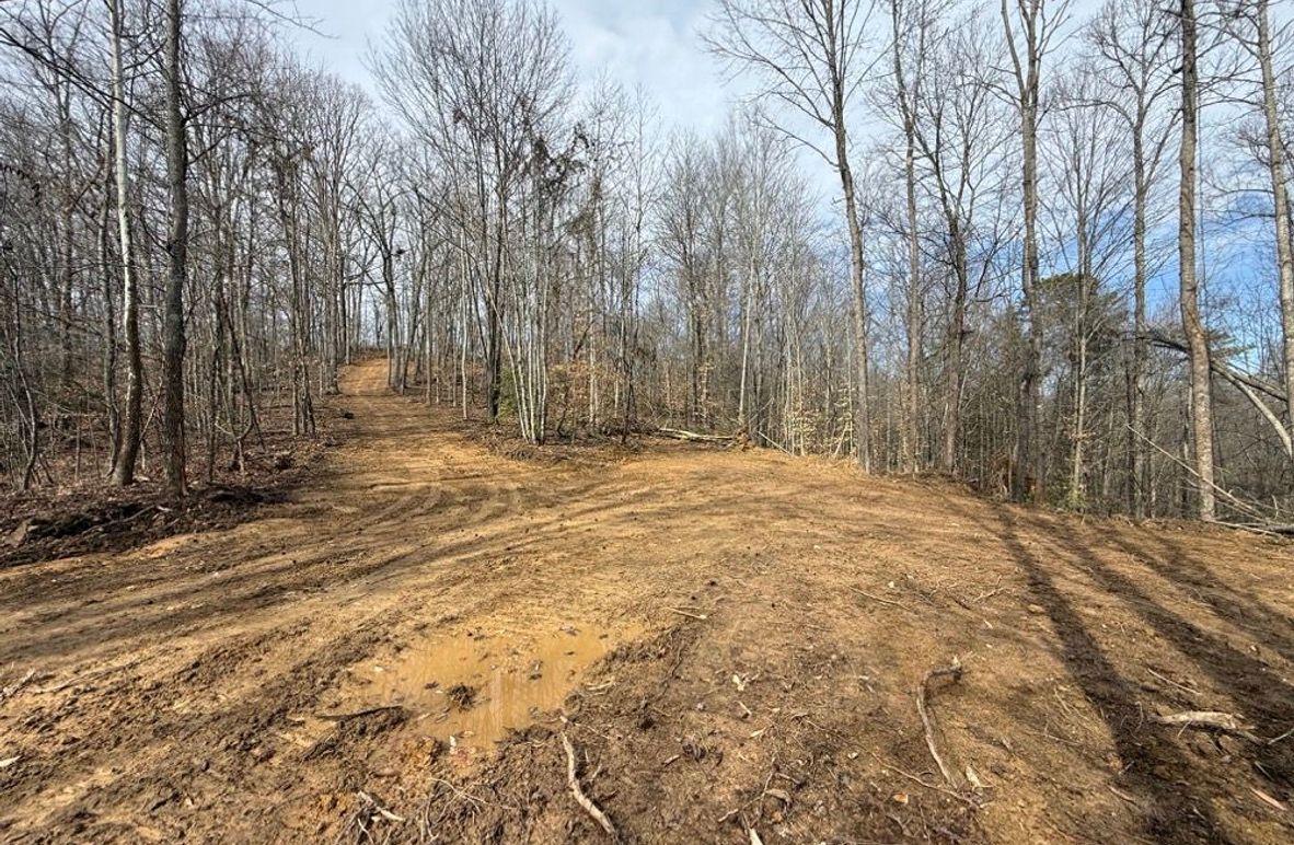 003 the newly opened up perfect cabin building spot away from the road