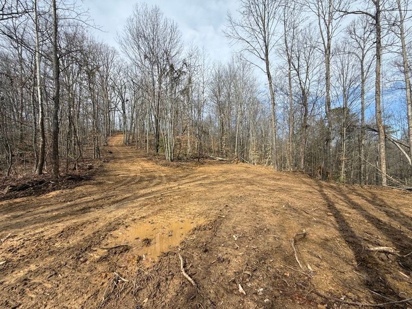 003 the newly opened up perfect cabin building spot away from the road