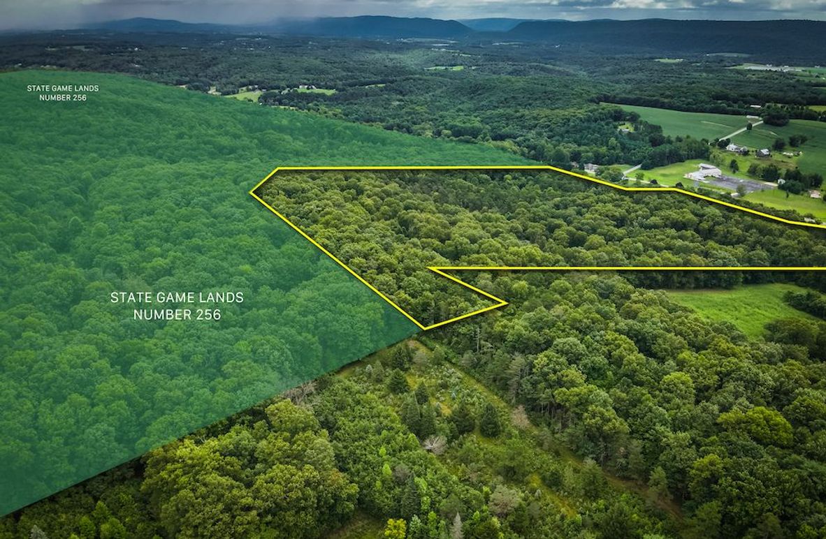 Main 2 Perry 27 Moore-18