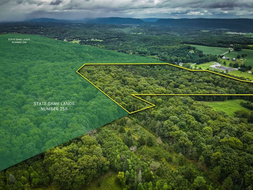 Main 2 Perry 27 Moore-18