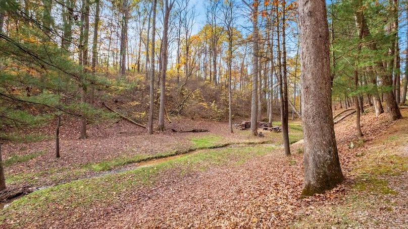 60-z 46585 Morning Star108-2