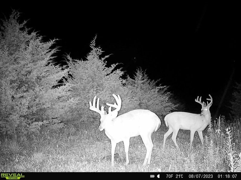 3B03ED98-964D-4800-917C-9E872CA0D479