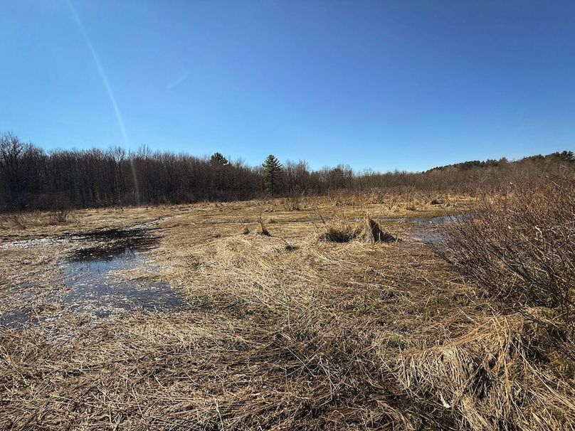 Oswego_8_Cannade_Photos_39