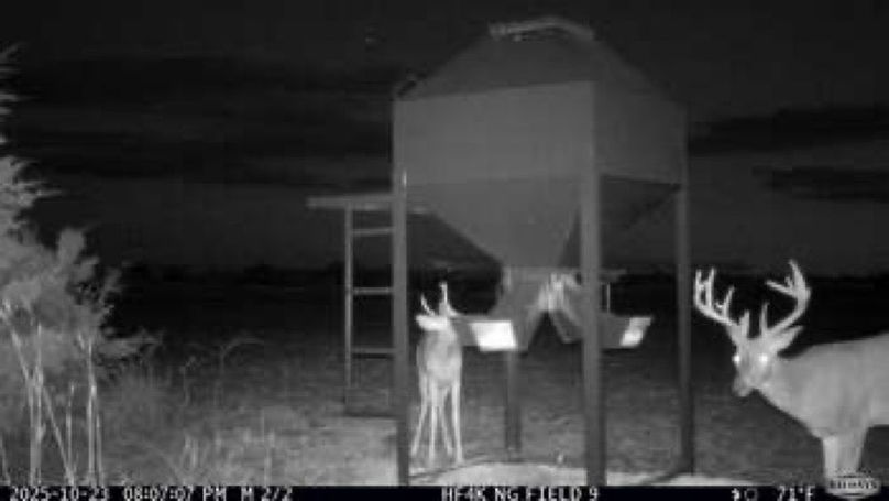 6e0728247cff06a57cefd287cf138e78-small