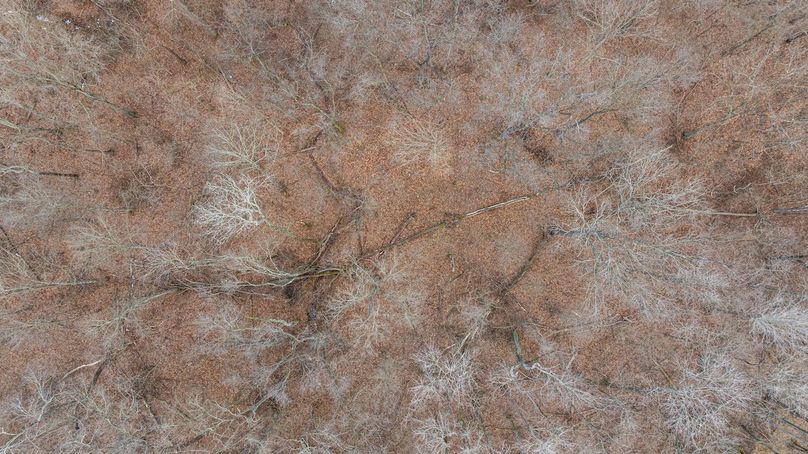 DJI_20260212074420_0009_D