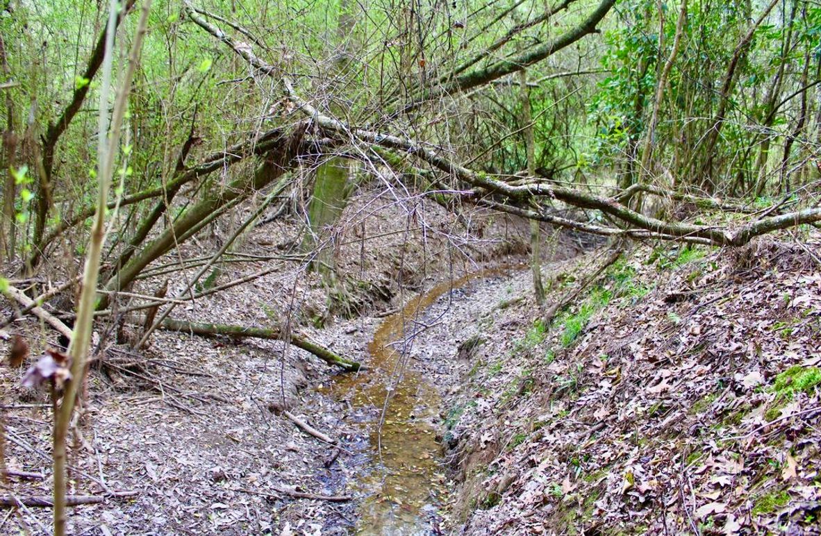 1DD07046-8FB2-42D6-8CDD-B752CEE7E17B_1_105_c