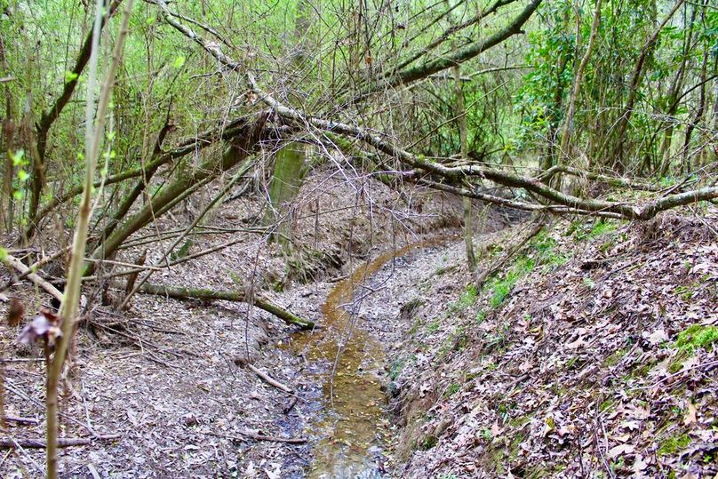 1DD07046-8FB2-42D6-8CDD-B752CEE7E17B_1_105_c