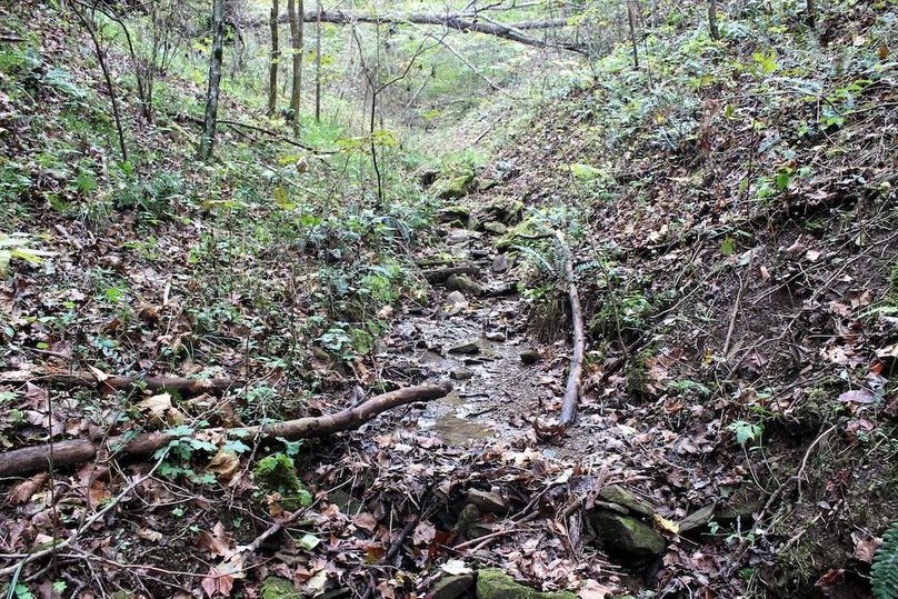 005 intermittent stream feeding south to the main valley