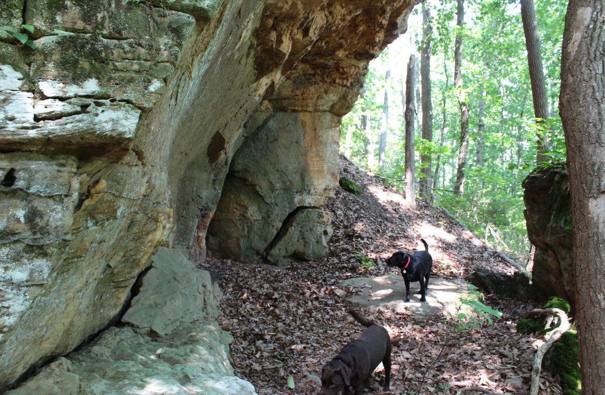 005 my field assistants taking cover under the huge rock cut overhang