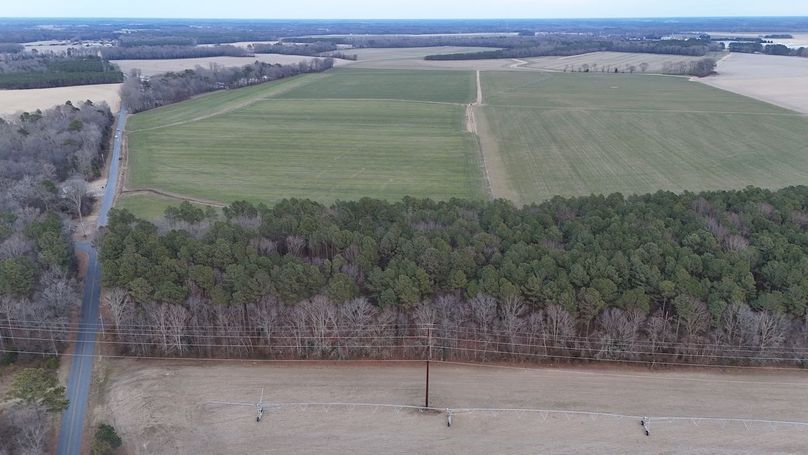 dji_fly_20260122_165624_0034_1769373220306_photo