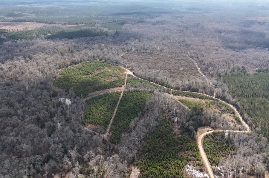 DJI_20250209032145_0395_D