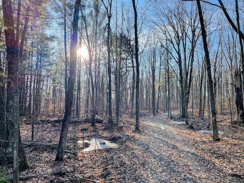 ClarK 160 WILLIAMS -24