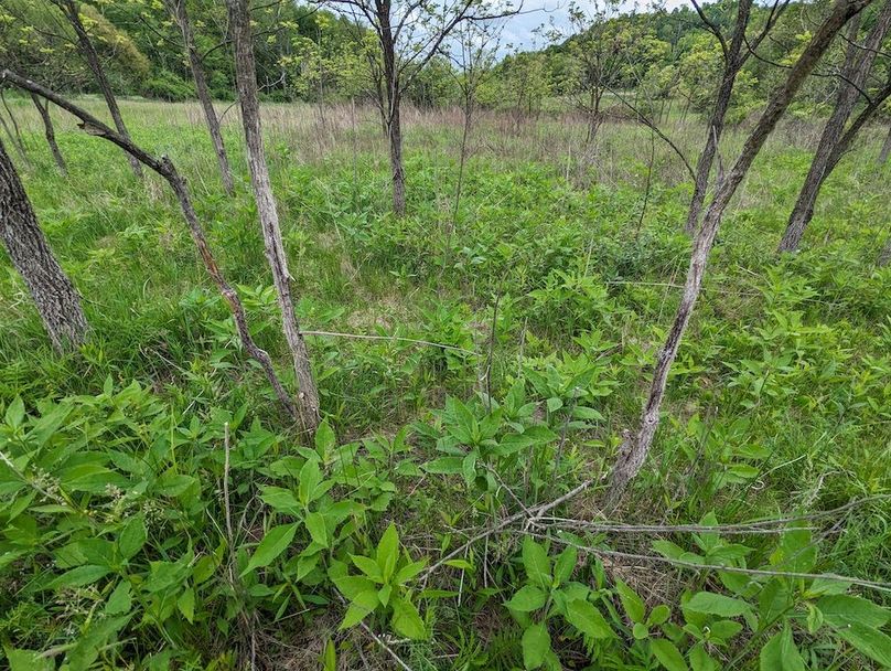 PXL_20240515_154712227