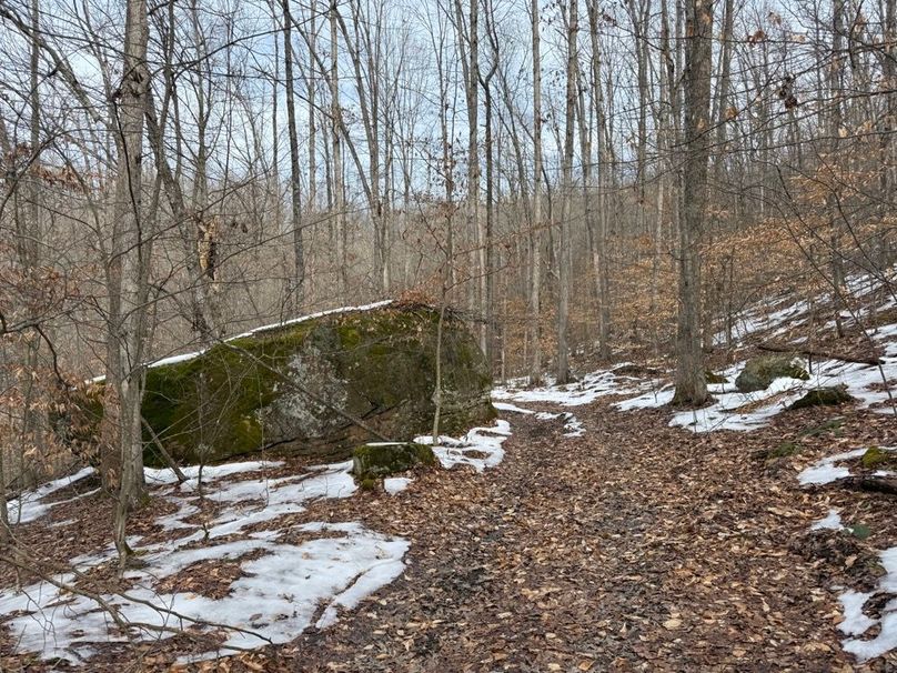 022 huge rock boulder laying on a forested bench