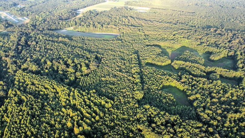 dji_fly_20250726_070342_477_1753527947183_photo_optimized