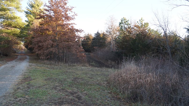 DSC02565