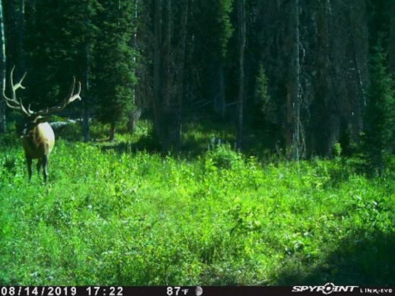 6 photo sanpete 240