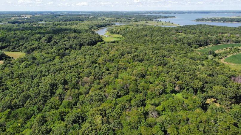 dji_fly_20240801_161104_972_1722546676969_photo_optimized