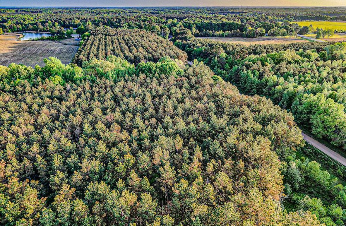 Chickasaw Tract 1-04