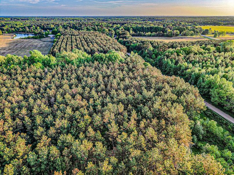 Chickasaw Tract 1-04
