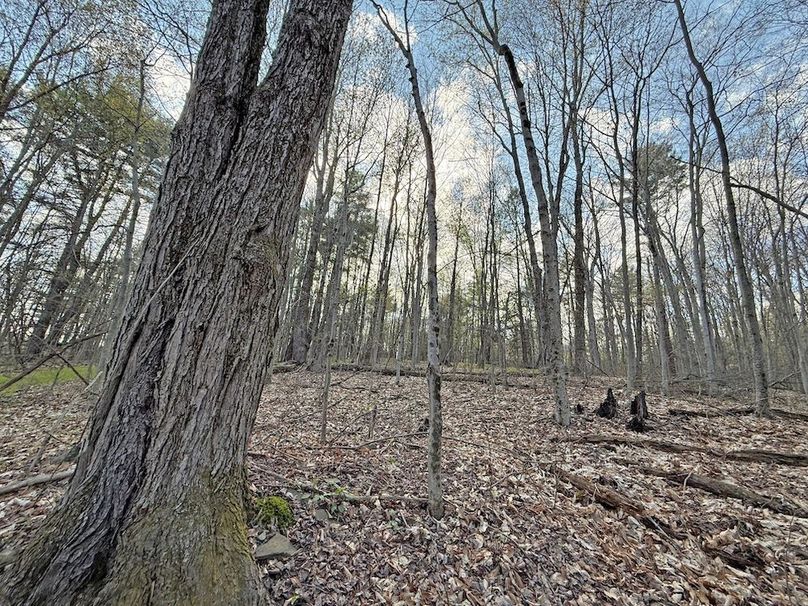 Chemung_59.8_Currier_photos_34