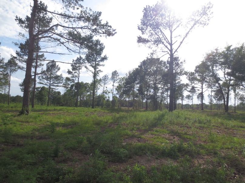 147ABAD4-F7F5-4BBE-8528-B824B100BB56_1_105_c