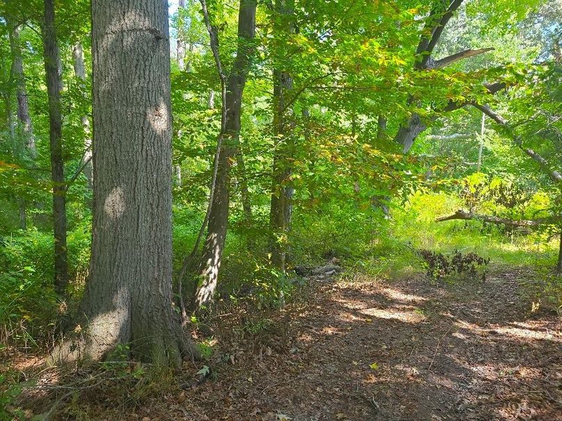 31.40ac_QAnnes_PIC_004