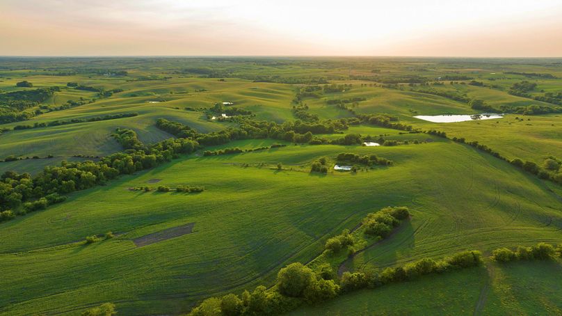 Harrison MO 480 Pro Photo_230 (7)