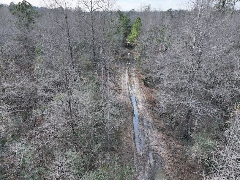 dji_fly_20260212_140124_0044_1771284247751_photo