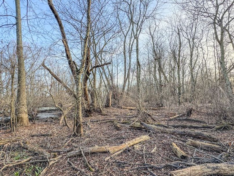 Phillips 8.5 Trahan -30