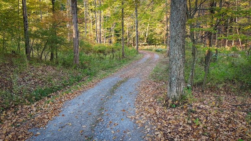 Ontario_9.680_Hardy_Photos_44