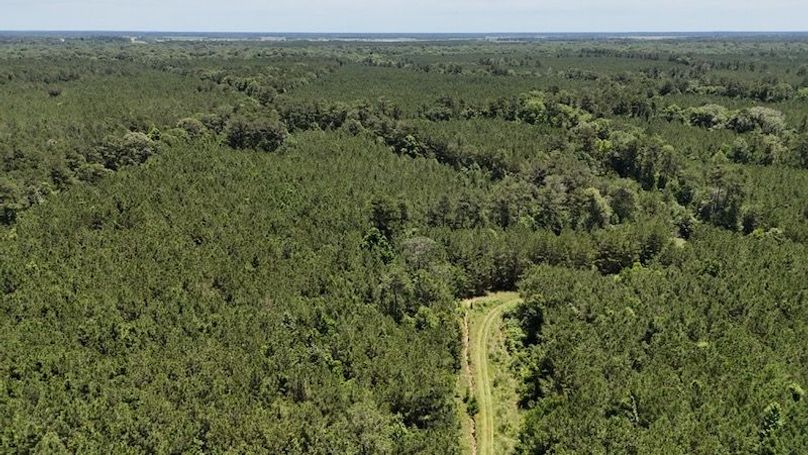 dji_fly_20250528_020354_0041_1748386794360_photo