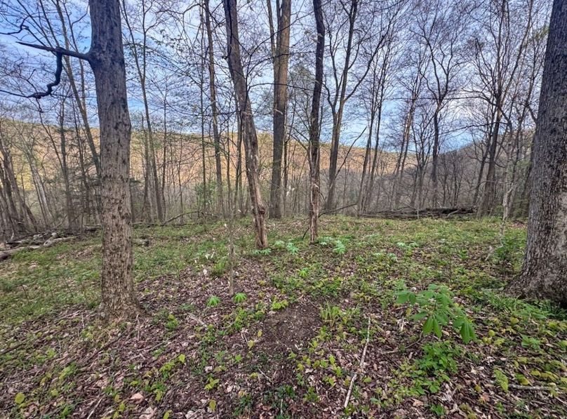 Screenshot 2026-04-21 at 11.36.05 AM