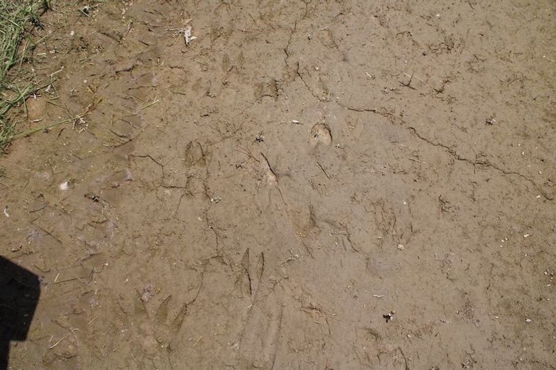 8AF88B54-86E6-4BB1-8B15-55157AA5385B_1_105_c