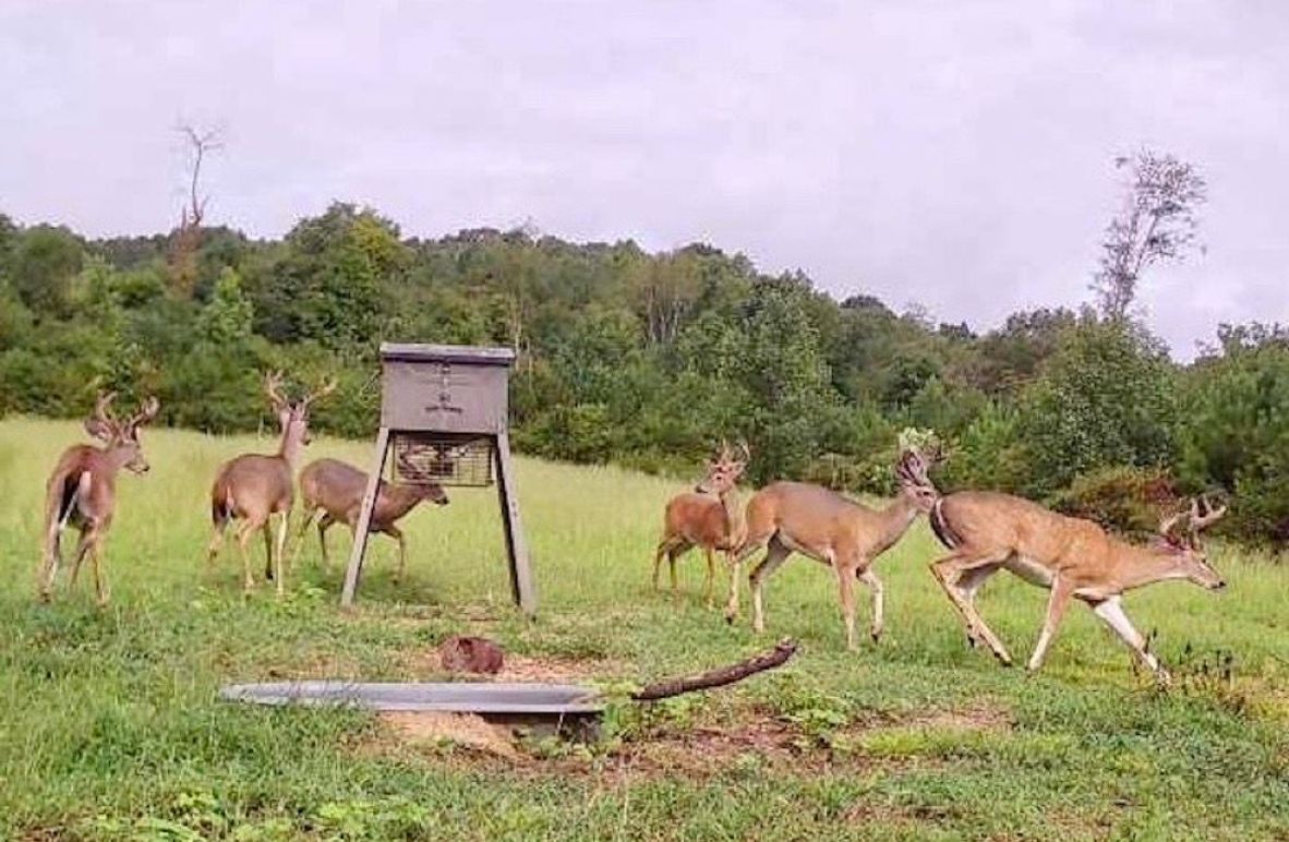 50244d7d-bcf9-4ba9-9eed-383e2393a0df