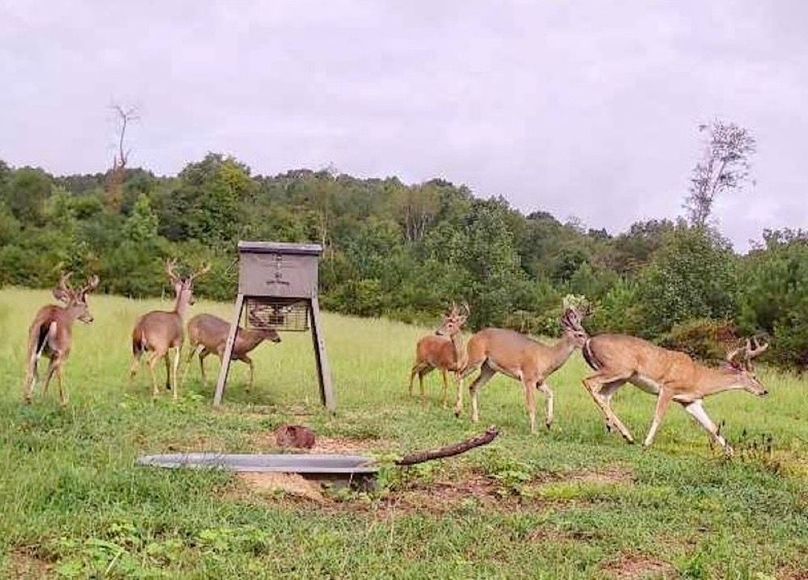 50244d7d-bcf9-4ba9-9eed-383e2393a0df