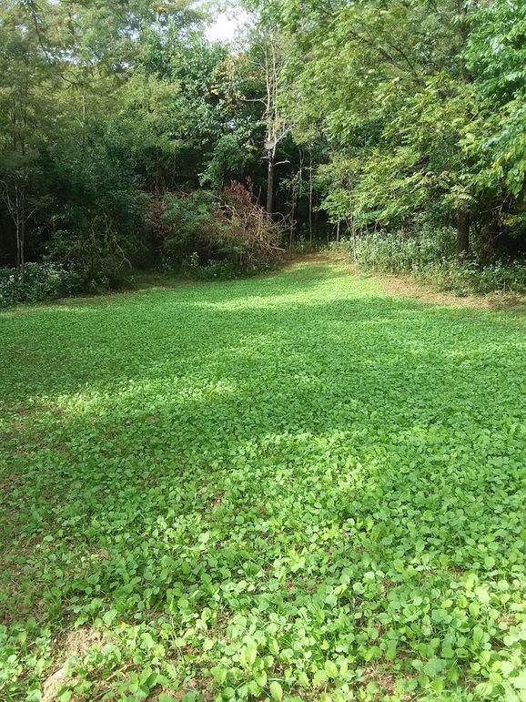 20190914_163014