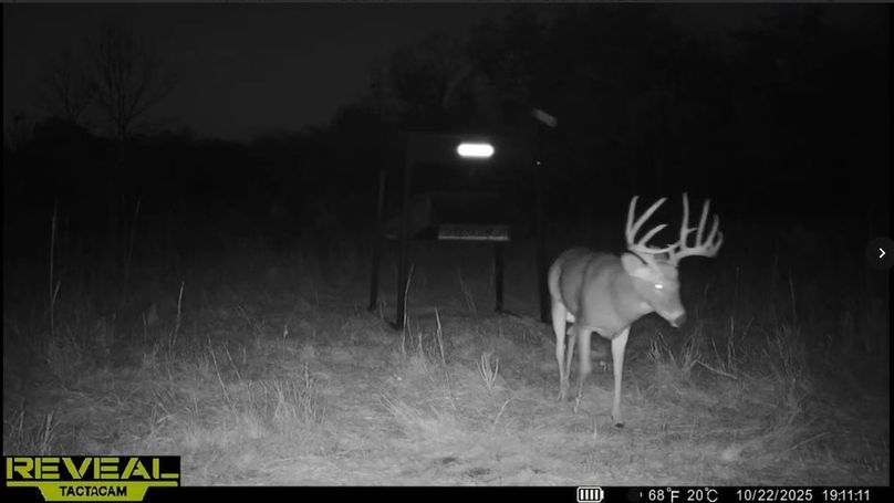 Screenshot_24-1-2026_83542_drive.google.com