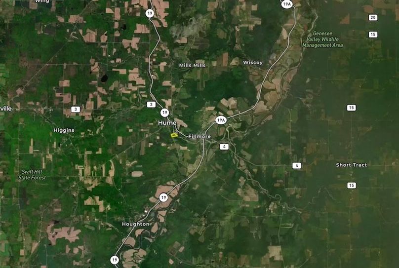 Zoomed Out